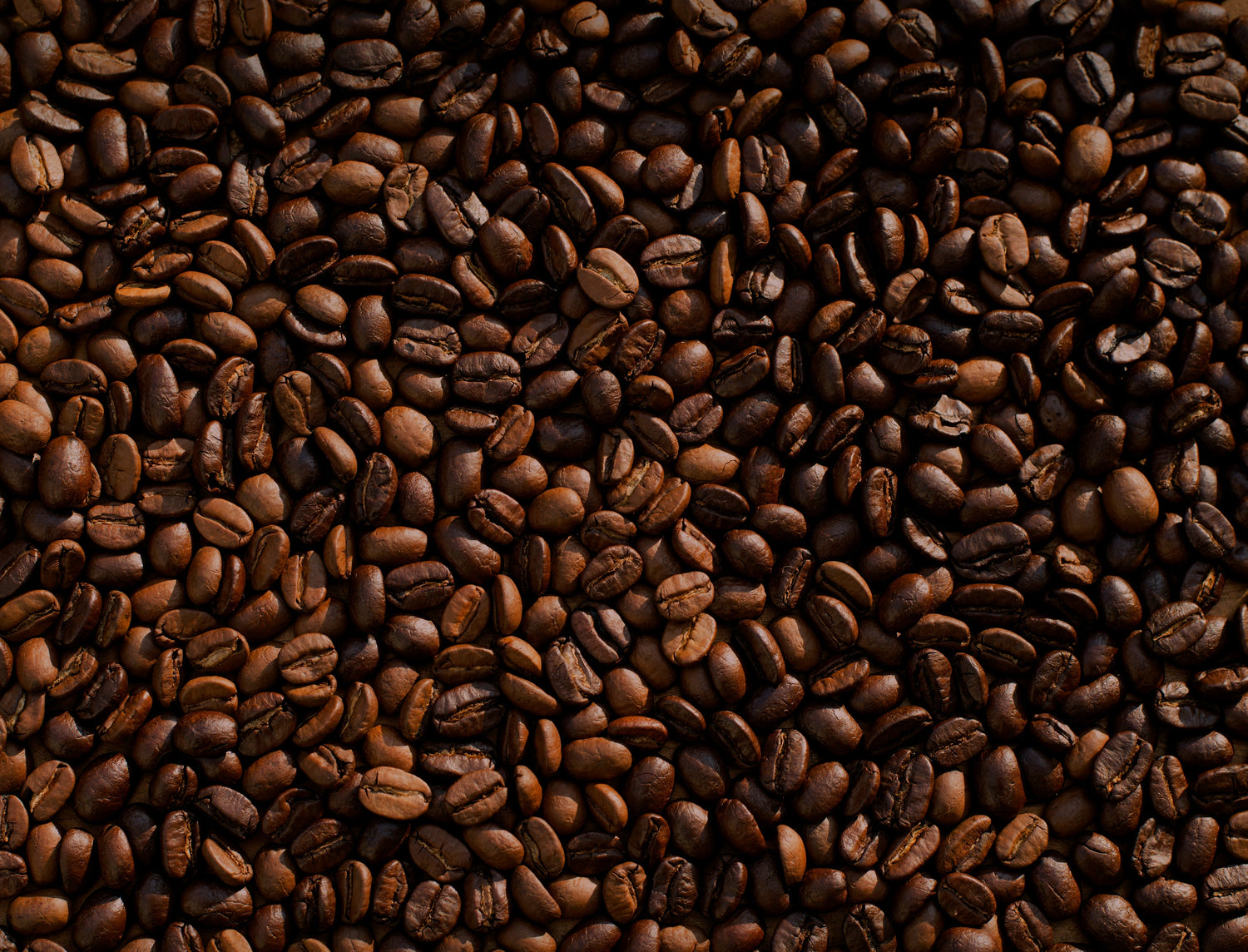 All Coffee
