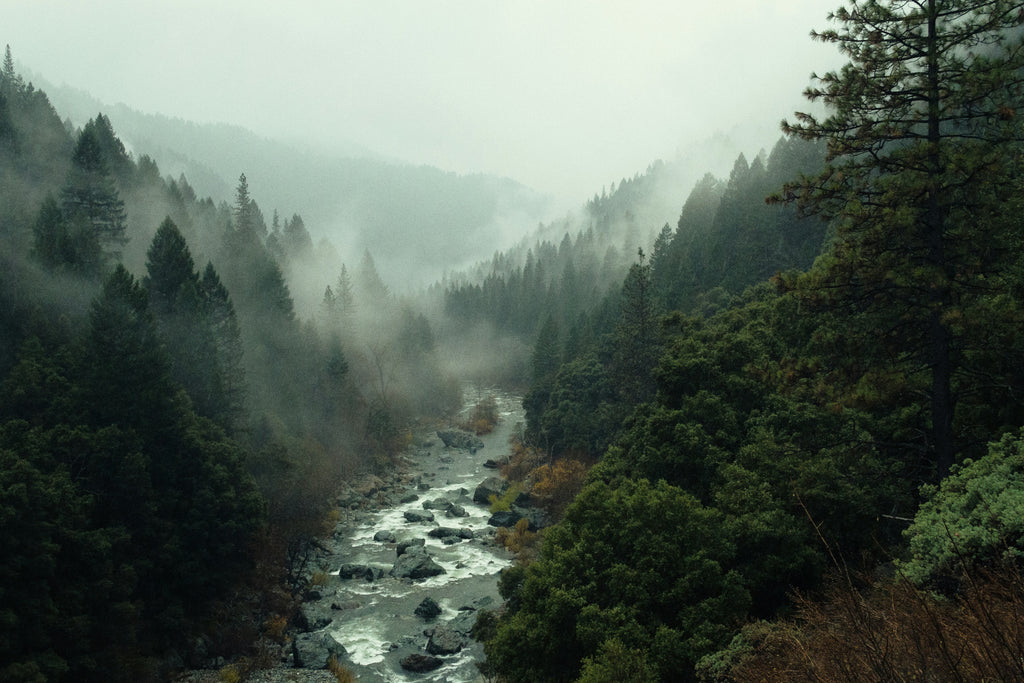 Mountain Rain