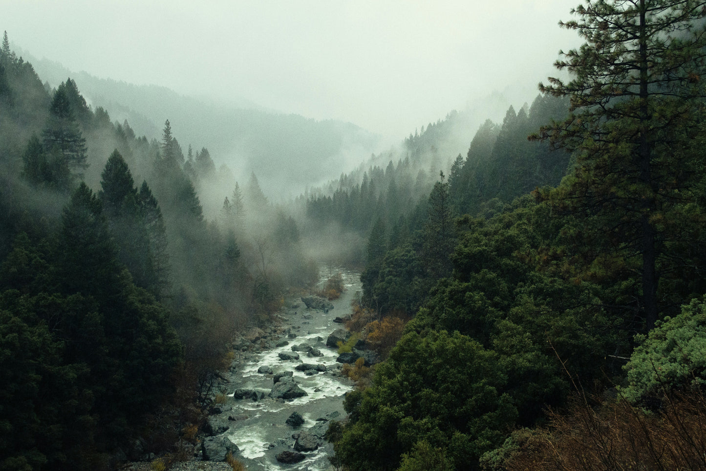 Mountain Rain