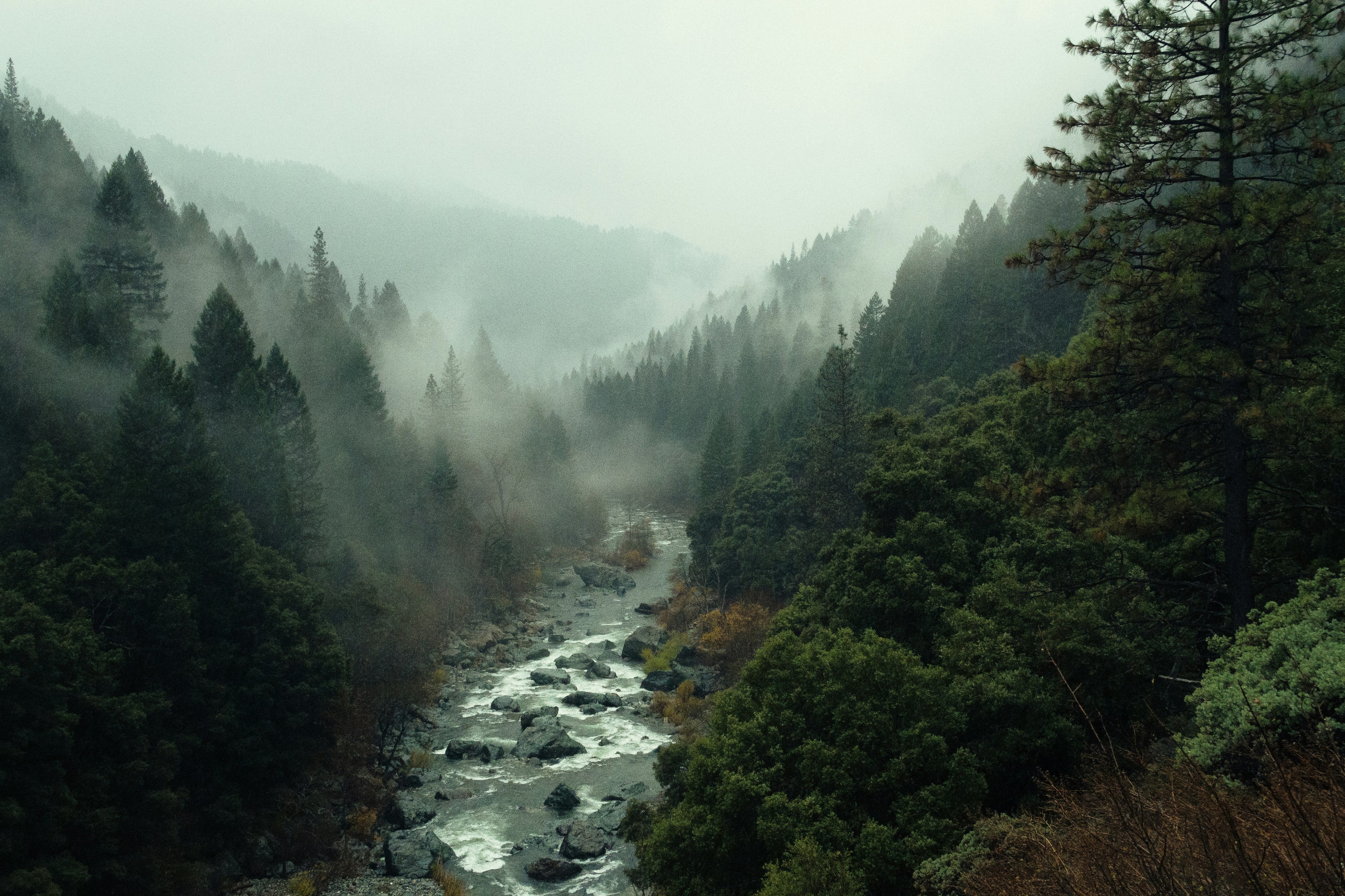 Mountain Rain